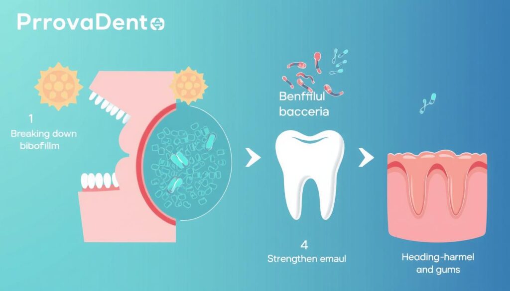 Scientific diagram showing how ProvaDent works in the oral microbiome